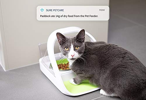 Sure Petcare SureFeed Microchip Pet Feeder Connect with Hub, RFID Collar Tags Compatible, Mobile App Control, for Wet and Dry Food, White, 4xC Cell Batteries Required, Not Included